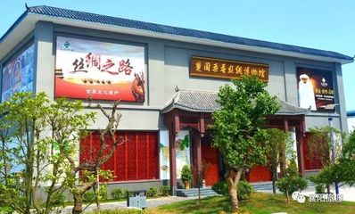 丝绸与恐龙?这样组合你见过么