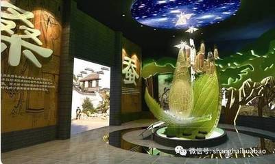 第四届盛泽纺博会启幕:吹响全域旅游号角