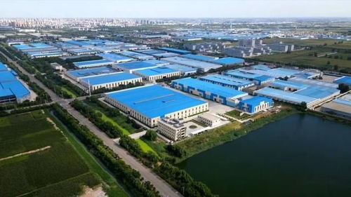 奋战三季度 决胜下半年 金乡县食品产业园 强抓项目 大抓产