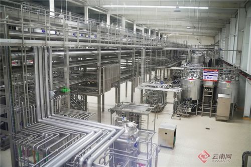 园区大招商 产业大提质丨招商引资集聚产业 园区经济迸发活力 高清组图