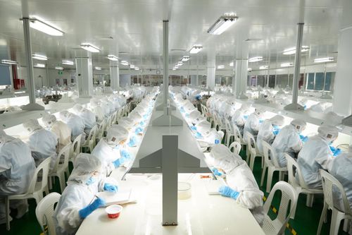 新儒商大咖论道开播,企业创新燕之屋有话说