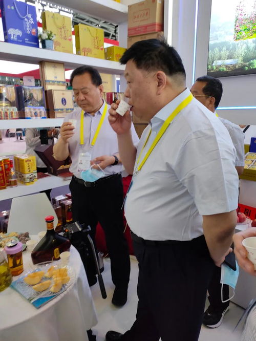 第五届丝博会开幕 白水杜康酒亮相丝博会 等你来品酒
