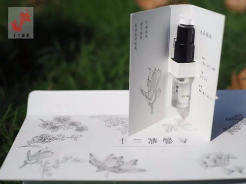 十二雅馨 ,沪高校理工科学生这样闻香
