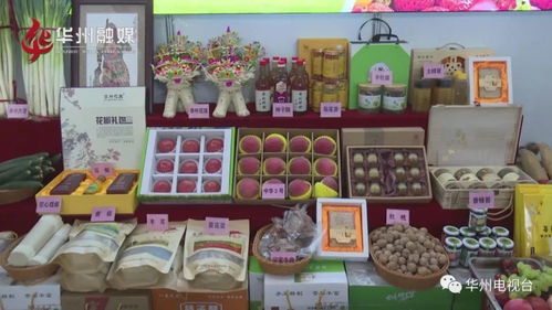 华州皮影 竹编 农副产品亮相第五届丝博会