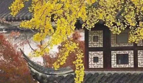 念念为善,是修行佛法最初的基础